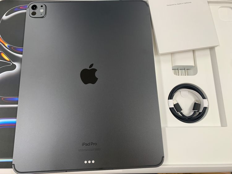 ������ ����100%��SIM�ե꡼ iPad Pro 13 ����� (M4) 256GB �֥�å�