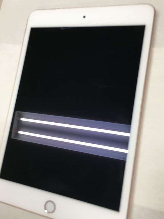 ڥХBOXưʡ82 SIMե꡼ iPad mini 5 64GB