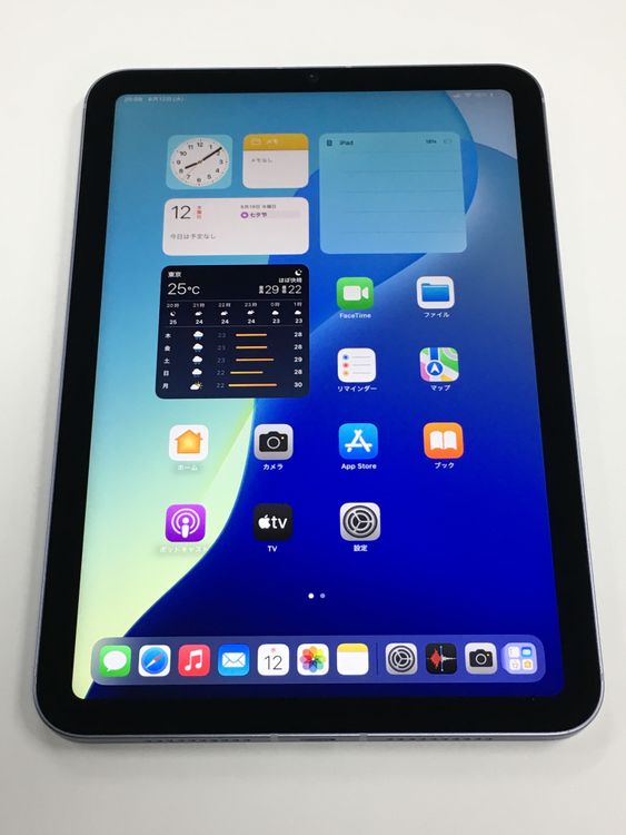 �ڥ�Х���BOX������ ����93�� iPad mini ��6���� SIM�ե꡼ 256GB �ѡ��ץ�