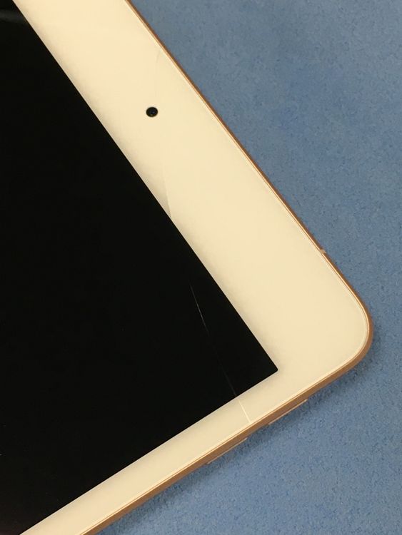 ڥХBOXư SIMե꡼ Apple iPad mini 5 256GB
