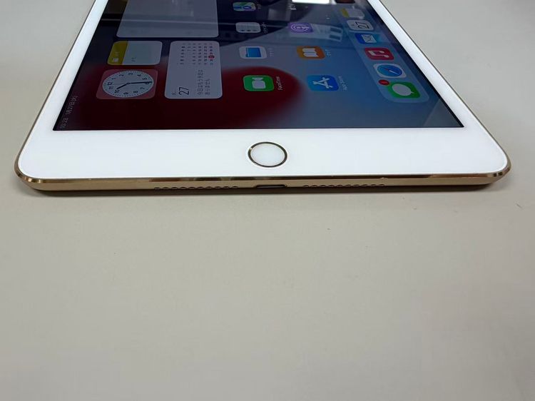 ���� ��iPad mini(��4����) 64GB  �������