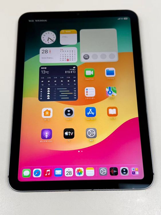 ����87% SIM�ե꡼ iPad mini (��6����) 256GB ���ڡ������쥤