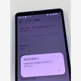 ڥХBOXSIMե꡼ au Xperia 10 V SOG11 ٥