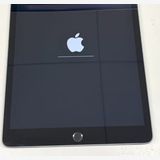 �������ʡ�Apple iPad ��7���� Wi-Fi 128GB ���ڡ������쥤