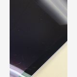 ����89�� SIM�ե꡼iPad mini 6  256GB �ѡ��ץ�
