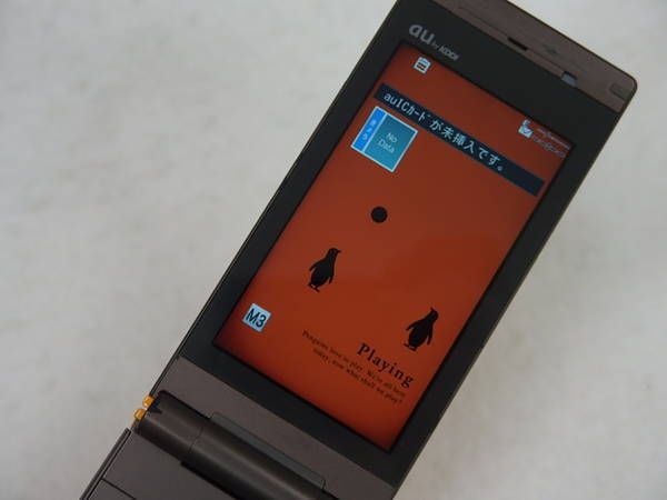 �ڥ���������ۡ��ݾ��ա�au CA007/����ʥåץ����/41606