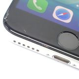 ڼߤʤߡۡFtTh999871ɥiPhoneSE2 64GB ۥ磻ȡ