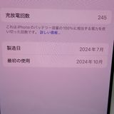 ڼߤʤߡۡFt634501SIMե꡼Phone16Pro 256GB