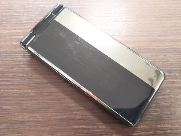 �ڥ��������Ծ��docomo/P-01G /�֥�å�/���饱��