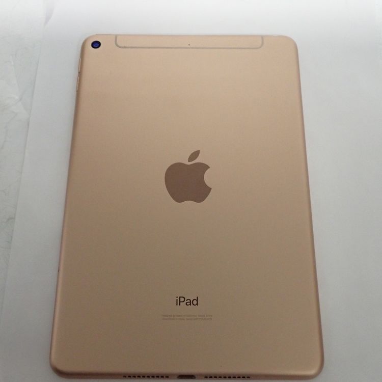 �ڼ��ߤʤߡۡ�Z709��SIM�ե꡼��iPad mini 5 64GB MUX72J/A ���