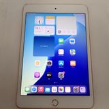 �ڼ��ߤʤߡۡ�Z709��SIM�ե꡼��iPad mini 5 64GB MUX72J/A ���