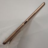 �ڼ��ߤʤߡۡ�Z709��SIM�ե꡼��iPad mini 5 64GB MUX72J/A ���