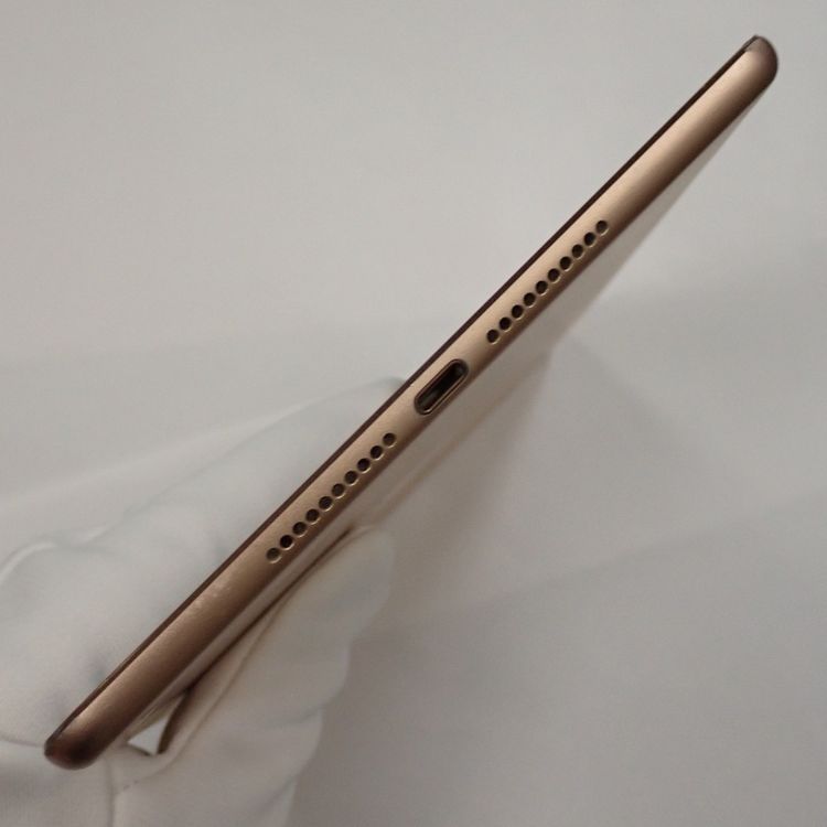 �ڼ��ߤʤߡۡ�Z709��SIM�ե꡼��iPad mini 5 64GB MUX72J/A ���