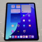 ڼߤʤߡۡZ601SIMե꡼iPad Pro 12.9 5 256GB 