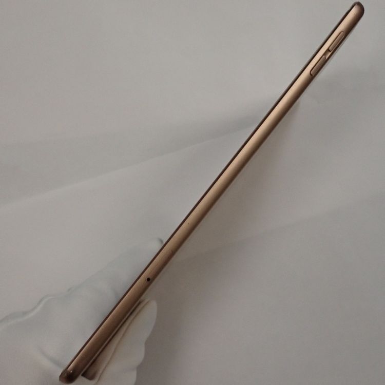 �ڼ��ߤʤߡۡ�Z709��SIM�ե꡼��iPad mini 5 64GB MUX72J/A ���