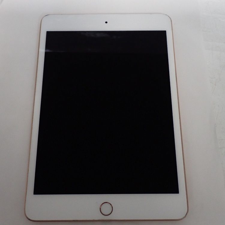�ڼ��ߤʤߡۡ�Z709��SIM�ե꡼��iPad mini 5 64GB MUX72J/A ���