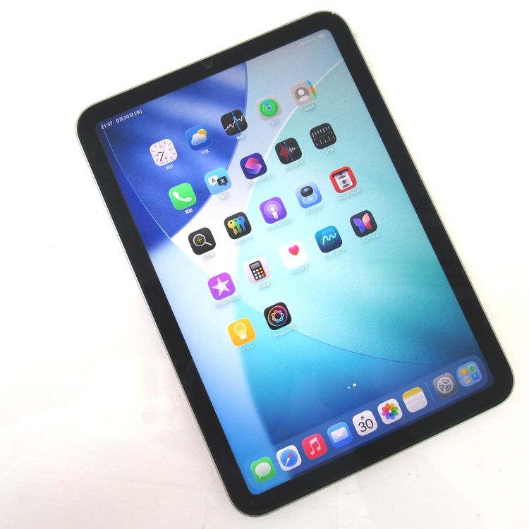 �ڼ��ߤʤߡۢ�ipadmini(A17Pro)��PXN63J/A 128GB Wi-Fi��ǥ뢣����
