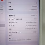 ڼߤʤߡۡ1052auiPad mini 5 256GB MUXD2J/A