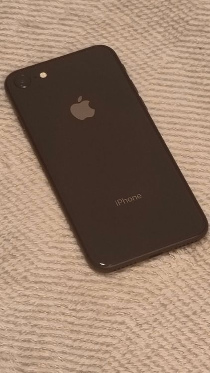 ���� iPhone8��64GB�����ڡ������쥤������ե꡼