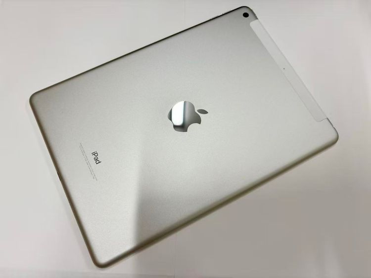 ХSIMե꡼ iPad(6) WiFi+Cell 32GB С MR6P2J/A