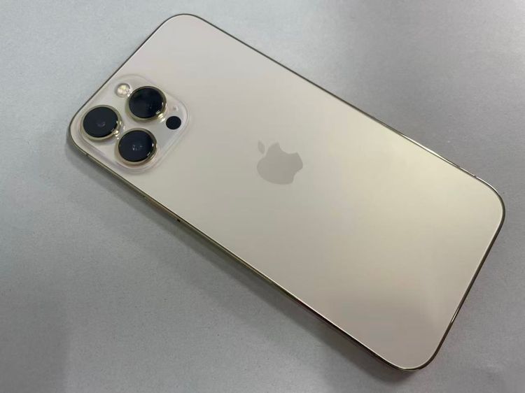 ������Х����SIM�ե꡼ iPhone13 Pro Max 256GB �������