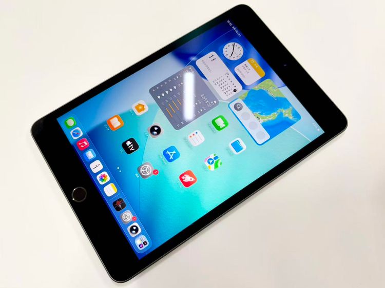 ������Х����iPad mini 5 Wi-Fi+Cellular 64GB ���ڡ������쥤