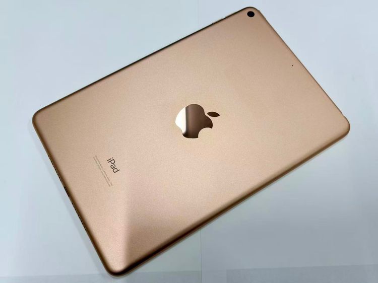 ХSIMե꡼ iPad mini 5 Wi-Fi 64GB 