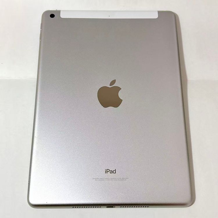 ������Х����SIM�ե꡼ iPad(��5����) WiFi+Cell 128GB ����С�