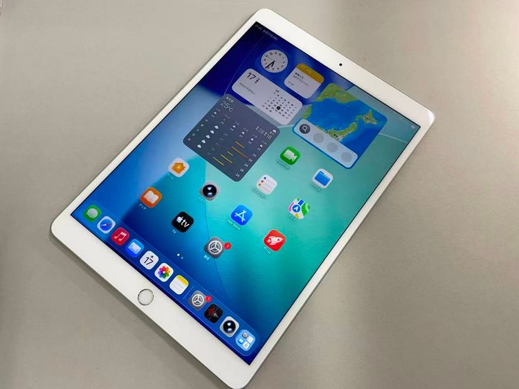 ������Х����SIM�ե꡼ iPad Air3 WiFi+Cellular 64GB ����С�