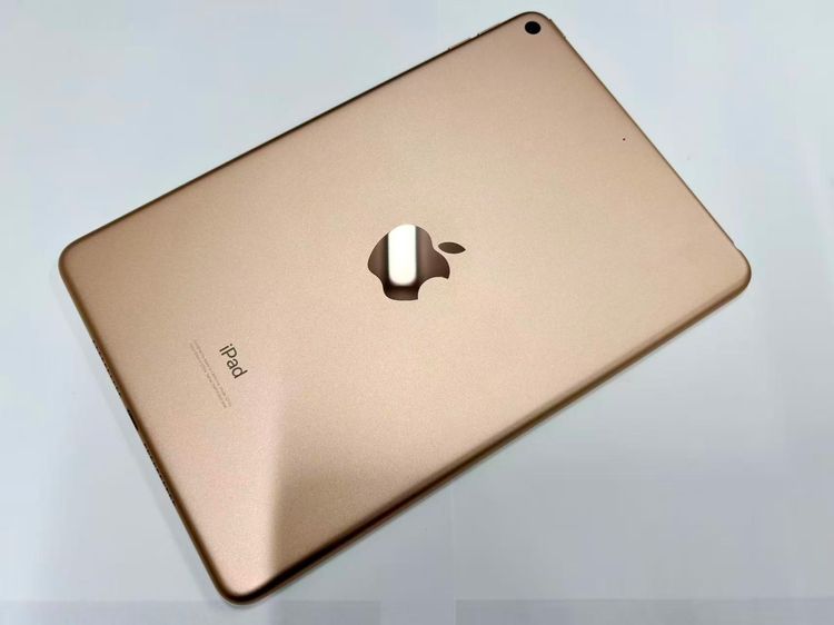 ХSIMե꡼ iPad mini 5 Wi-Fi 64GB 