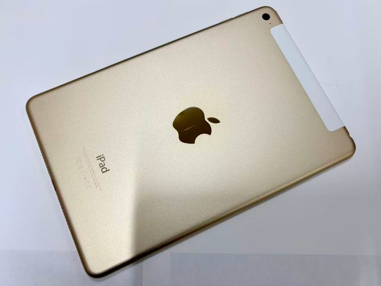 ХSIMե꡼ iPad mini 4 WiFi+Cell 64GB 