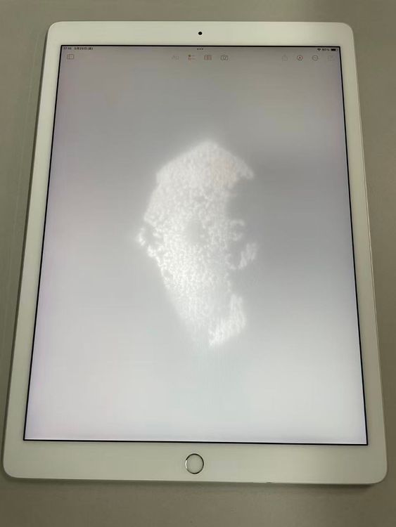 ������Х����������iPad Pro2 12.9����� WiFi 512GB ����С�