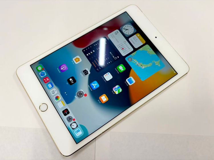 ������Х����SIM�ե꡼ iPad mini 4 Wi-Fi+Cell 16GB �������