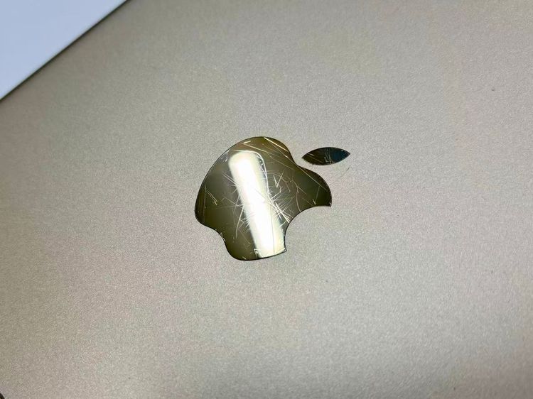 ������Х�����������iPad mini 4 Wi-Fi+Cellular 16GB �������