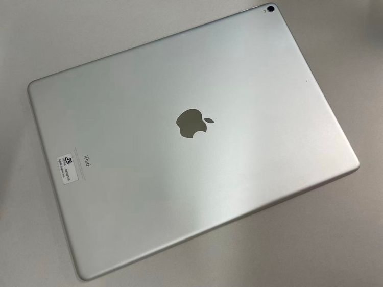������Х����������iPad Pro2 12.9����� WiFi 512GB ����С�