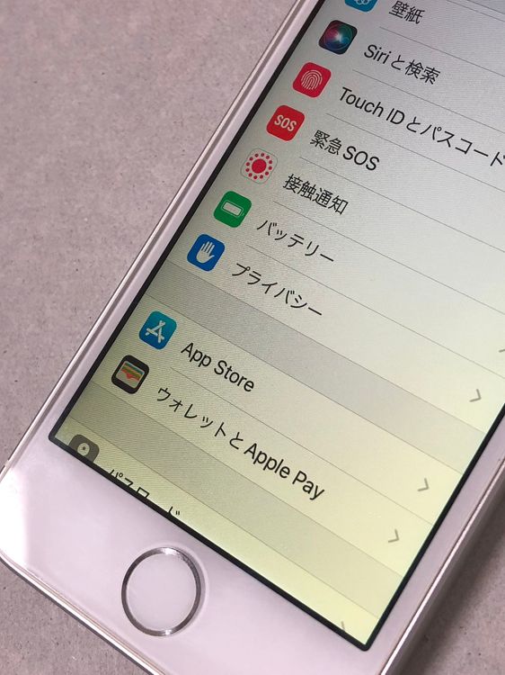 ������Х�����Хåƥ꡼100���SIM�ե꡼ iPhone SE 16GB ����С�