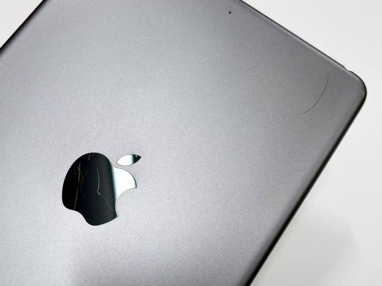 ������Х����iPad mini 5 Wi-Fi 64GB MUQW2J/A ���ڡ������쥤