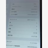 Х SIMե꡼ iPad mini4 WiFi+Cell 32GB 졼