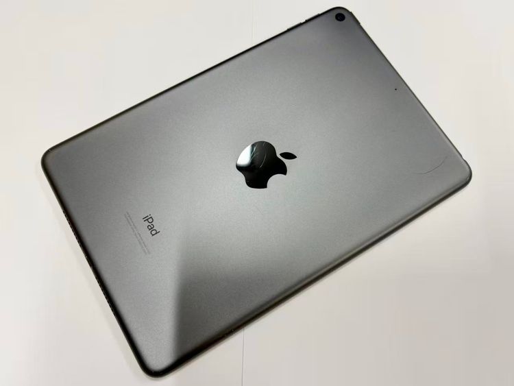 ������Х����iPad mini 5 Wi-Fi 64GB MUQW2J/A ���ڡ������쥤