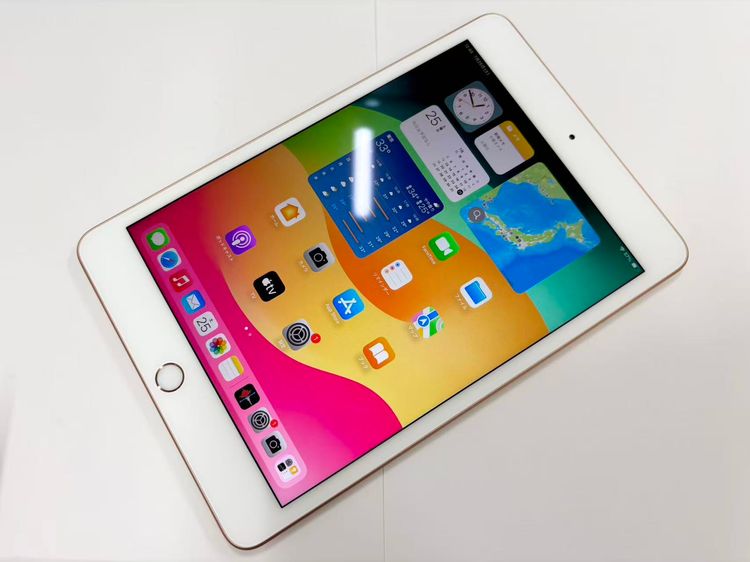 ������Х����iPad mini 5 WiFi�� 64GB ������� 3F559J/A