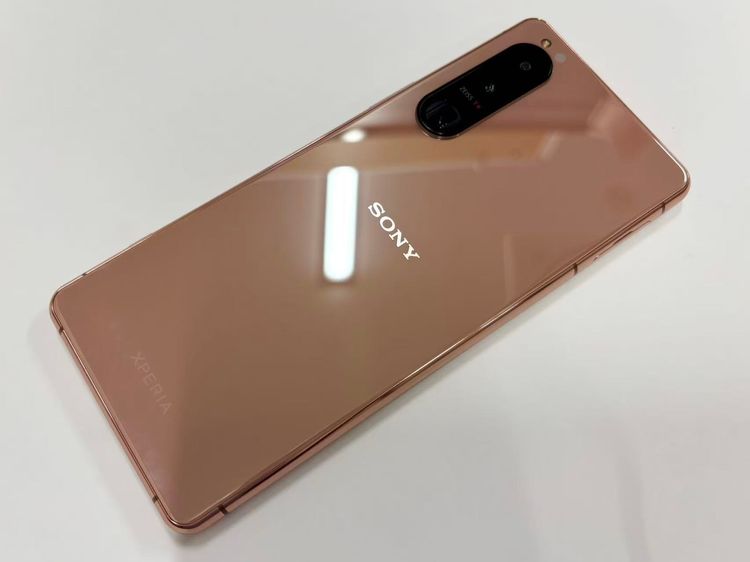 ХSIMե꡼ Xperia 5 III XQ-BQ42 256GB ԥ