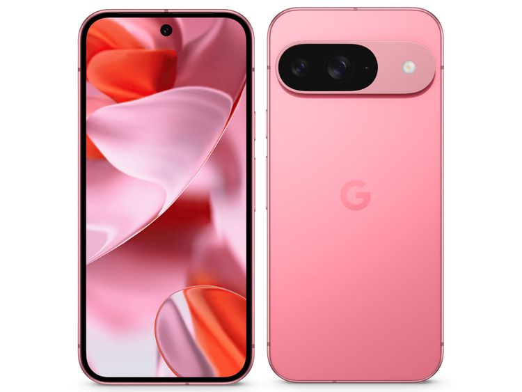 ХSIMե꡼ Google Pixel 9 128GB SIMե꡼[Peony]