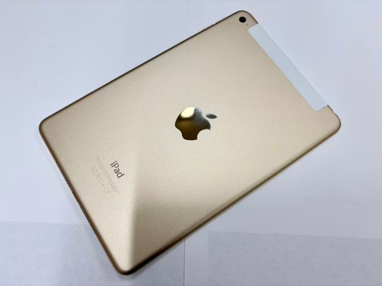 ������Х����SIM�ե꡼ iPad mini 4 Wi-Fi+Cell 16GB �������