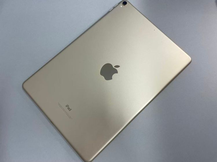 ������Х����iPad Pro 10.5����� Wi-Fi 64GB MQDX2J/A �������
