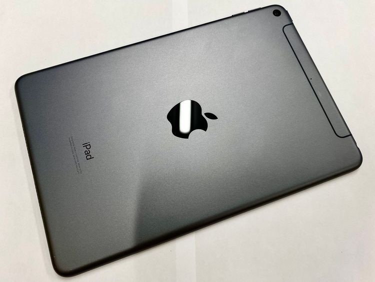 ������Х����iPad mini ��5���� WiFi 64GB MUQW2J/A ���ڡ������쥤