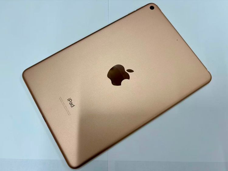 ������Х����iPad mini 5 WiFi�� 64GB ������� 3F559J/A