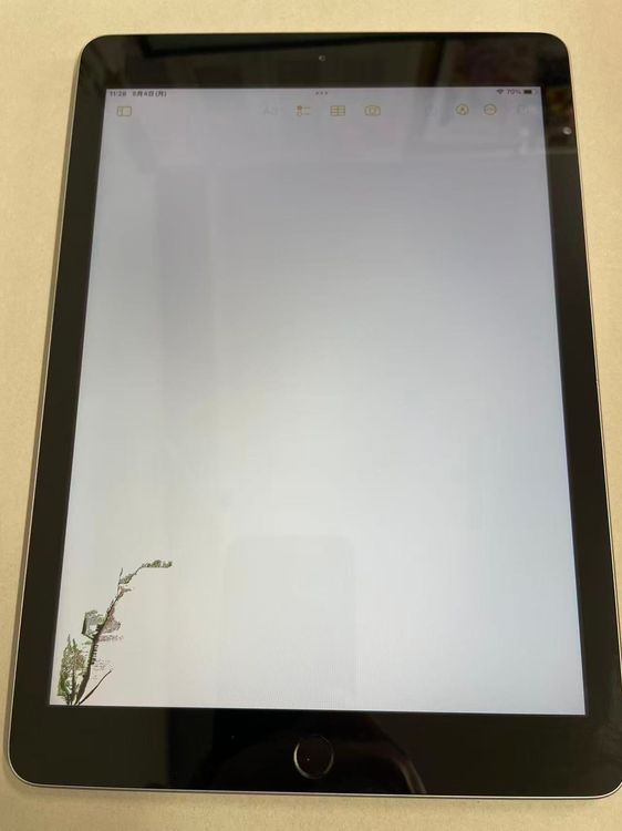 ������Х���������� iPad ��5���� Wi-Fi 32GB MP2F2J/A ���ڡ������쥤