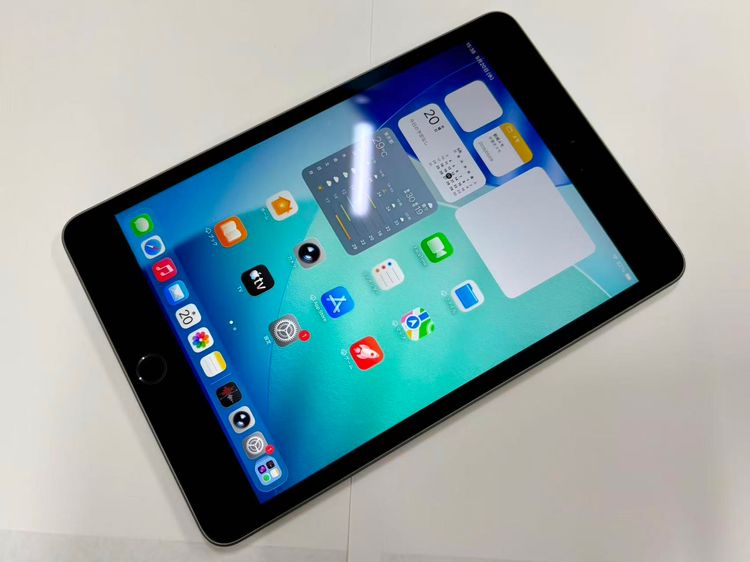 ������Х����iPad mini 5 Wi-Fi 64GB MUQW2J/A ���ڡ������쥤