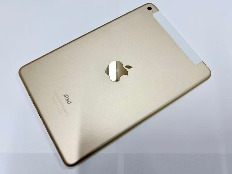 ХSIMե꡼ iPad mini 4 Wi-Fi+Cell 16GB 