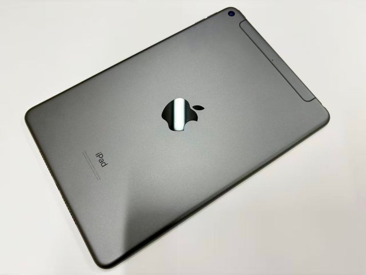 ������Х����iPad mini 5 Wi-Fi+Cellular 64GB ���ڡ������쥤